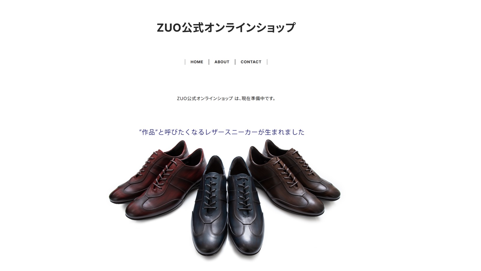サントリイシューズ(ZUO)